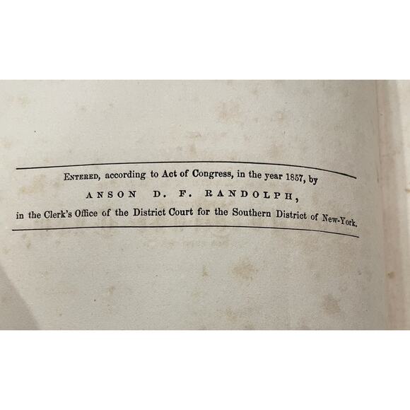 Vintage!! Leaf and Flower Pictures and How to Make Them from 1860 - Picture 4 of 8